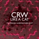 Like a Cat feat Veronika Tillmann Uhrmacher Edit Single