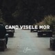 Cand Visele Mor Single feat Utze Single