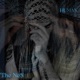 Human EP