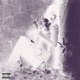 LOTUS Single