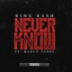 Never Know feat Marco Park Single