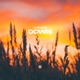 Down Single
