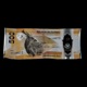 005 feat Brad Louisee DMC Single