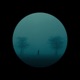 Snowfall Single