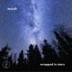 Wrapped in Stars Single