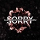 Sorry ale omlouvat se nebudu Single