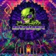 Dmt Single
