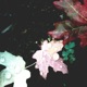 Ivy EP