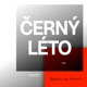 ČERNÝ LÉTO beats by beast remix Single