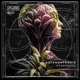 Metamorphosis Single