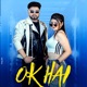 Ok Hai feat Khushi Paliwal Single