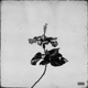 Grey Flowers Single