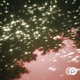 Star Gazin Single