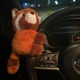 red panda Single