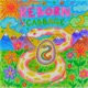 REBORN Single