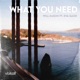 What You Need feat Eva Gadd Single