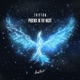 Phoenix In the Night Single