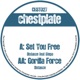 Set You Free Gorilla Force Single