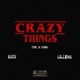 Crazy Things feat AVEX Callidas Single
