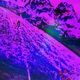 No Sped Up Single
