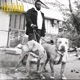 That s Dog In Em