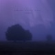 Another Wistful Night Single