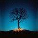 Immortal Single