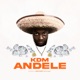 Andele Single