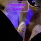 Show Me How You Want It feat Melo Vi8e5 Single