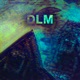 DLM Single