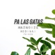 Maznoize Medina Faiken Pa Las Gatas feat Faiken Single