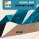The Rhythm of the Night Single
