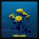 Healing feat MVSSIE Single