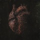 Purge Part II Single