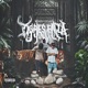 Tigres en la jungla feat Davidflo Single