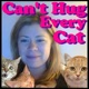 Can t Hug Every Cat feat Cara Hartmann Single