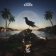 Raven Single