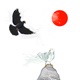 Pigeon Toss Single