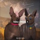 Mr Pig Gal Vol 1 Single