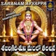 Sabarigirisuni Madilo Talachina Single