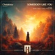 Somebody Like You Single