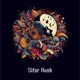 Sitar Rush Single