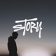 Story Single