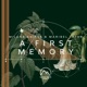 A First Memory Single