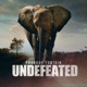 Undefeated Single