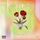 Tica Single
