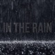 In the Rain Single