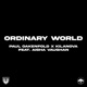 Ordinary World Single