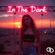 In the Dark Single