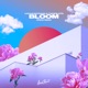 Bloom ERIICE Extended Remix Single